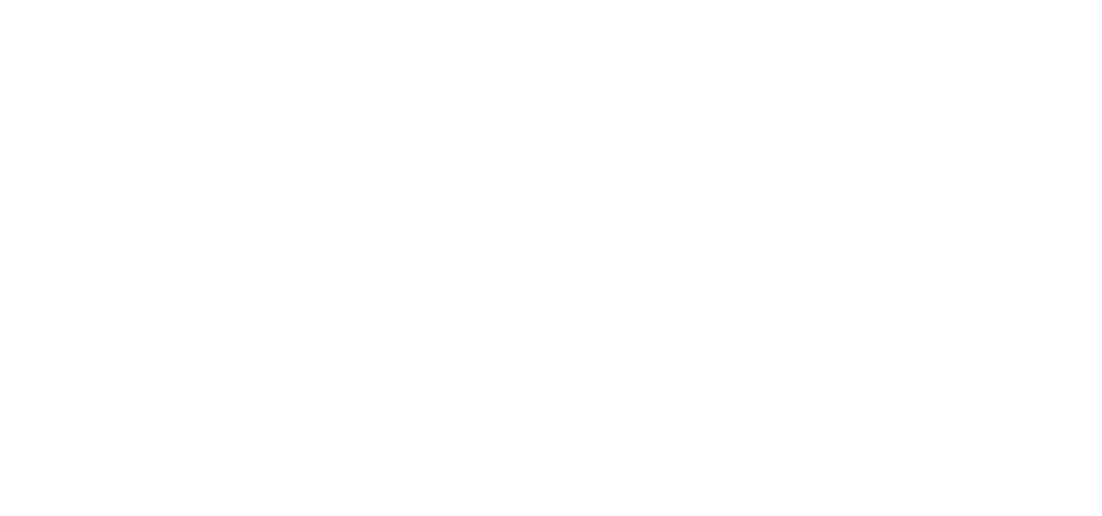 ZW Logo